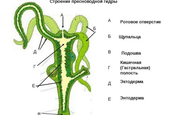 Ссылка на сайт гидра в тор браузере